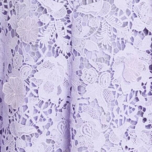 JASON WU COLLECTION GUIPURE COTTON MIDI DRESS SIZE S/M NEW - Picture 11 of 16